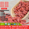 Best Organic Certificated Nutrition Goji Berry with high quality